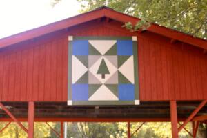 The Pine that Shines